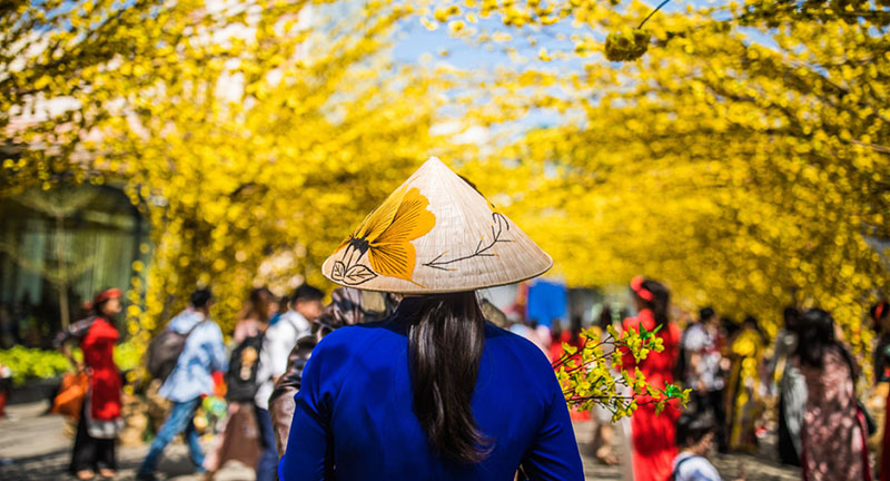 minh họa ielts speaking festival