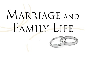 IELTS Vocabulary - Topic: Travel (transport & vacation) 