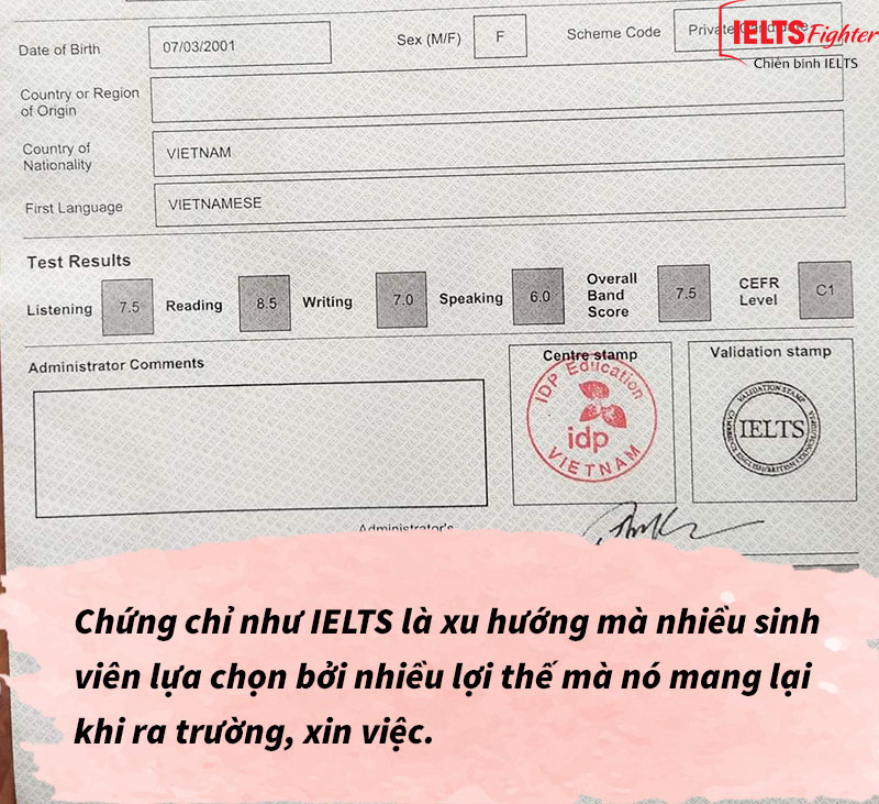 Lộ trình học tiếng Anh cho sinh viên 1