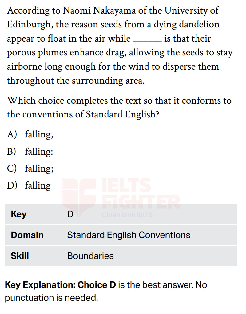 Cấu tr&uacute;c đề thi SAT Standard English Conventions 2