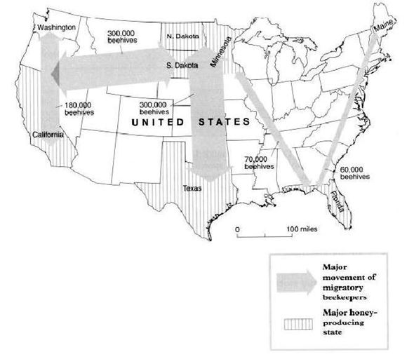 Hướng dẫn l&agrave;m b&agrave;i 