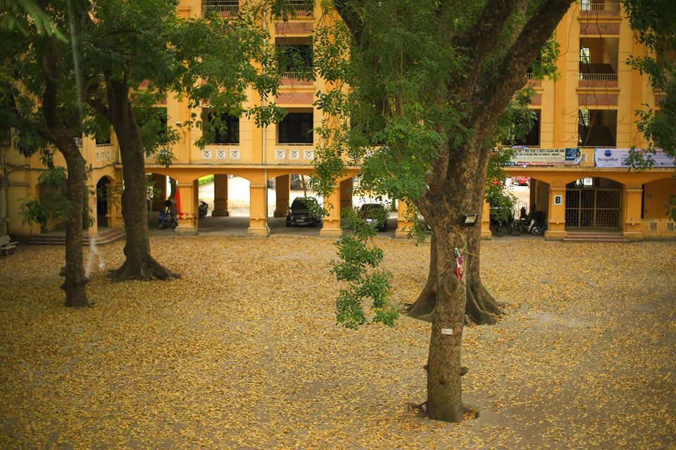 S&acirc;n trường Phan Đ&igrave;nh Ph&ugrave;ng rộng tho&aacute;ng, nhiều c&acirc;y