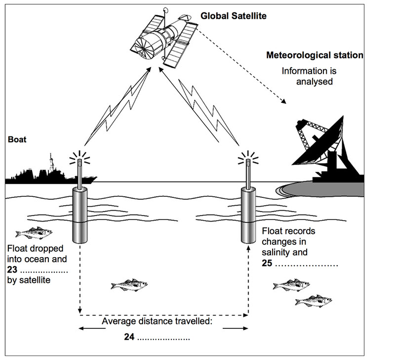 Sharpen your IELTS Listening Skill - FLOW CHART/ DIAGRAM COMPLETION 2