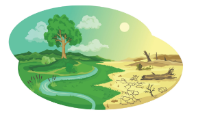 h&igrave;nh ảnh environment 5