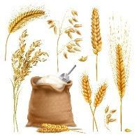 h&igrave;nh ảnh environment 4