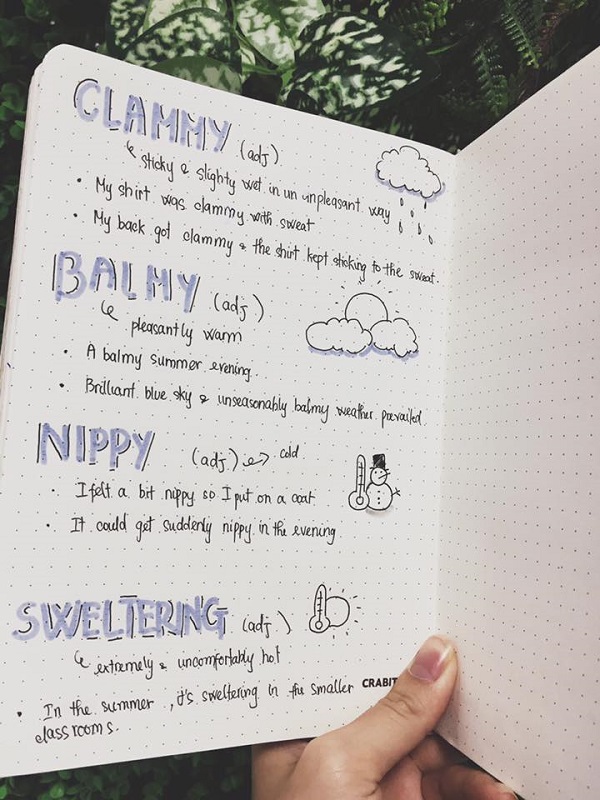 học từ vựng IELTS Reading