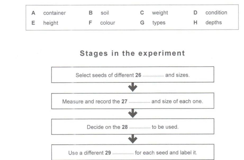 mệnh đề danh từ noun clause v&iacute; dụ