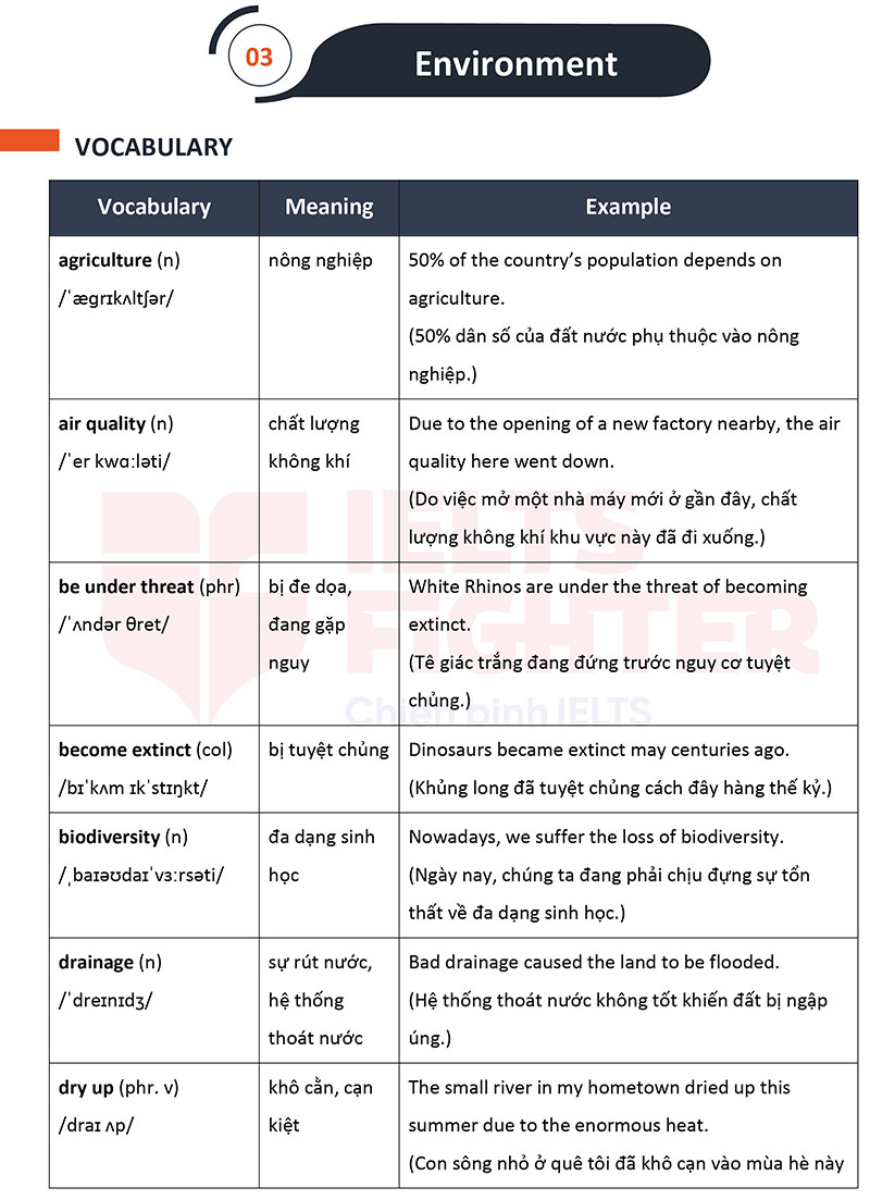 Crack IELTS Speaking vocabulary focus 1