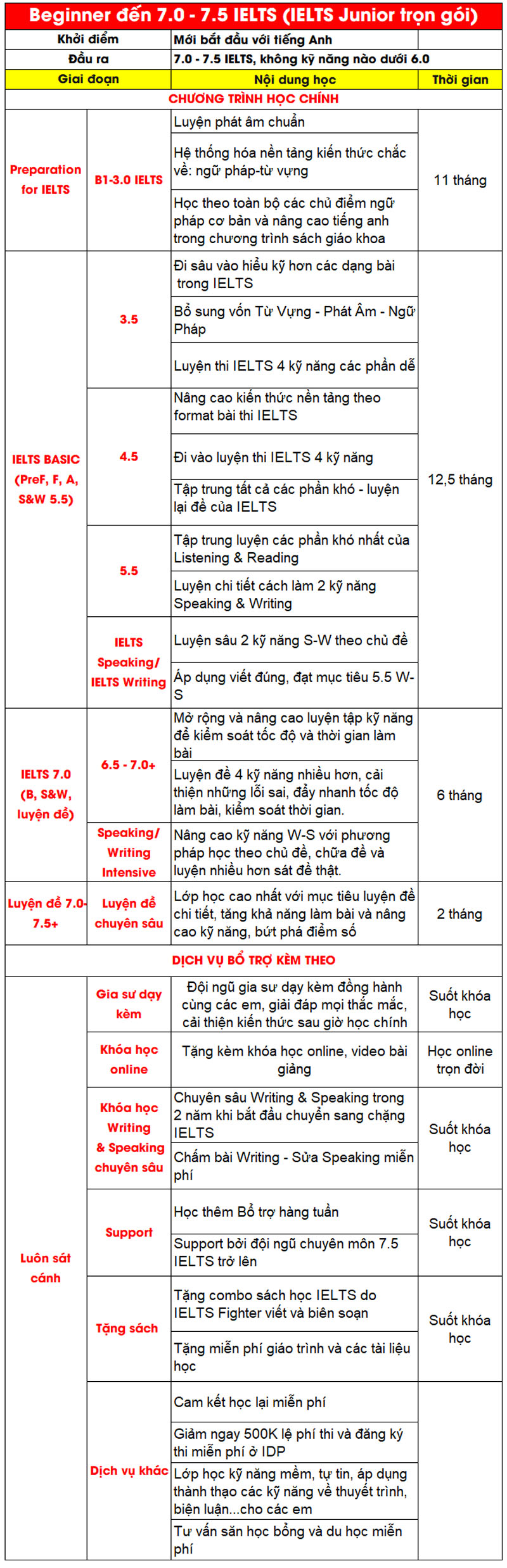 có nên học IELTS sớm - lộ trình ielts junior cho học sinh cấp 2
