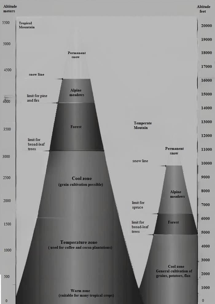 diagram ielts writing tropical mountains and temperate mountains