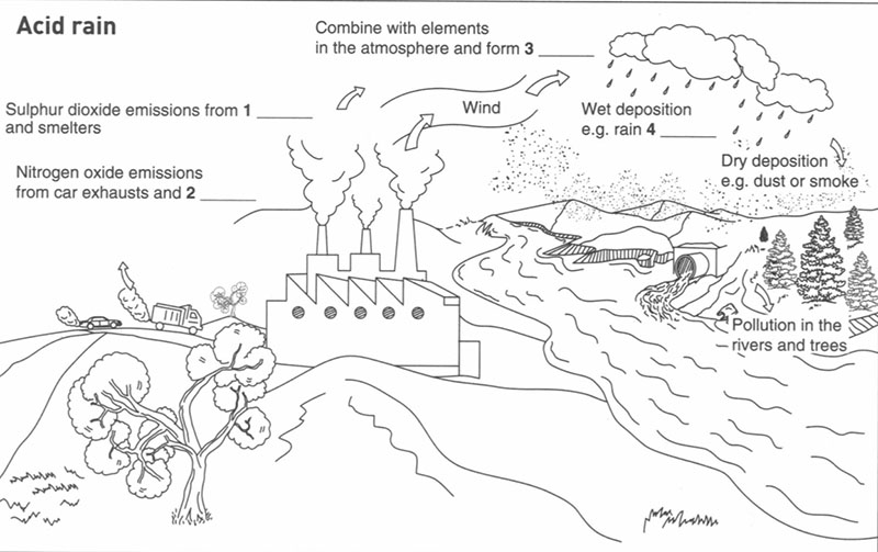 IELTS Listening - Hướng dẫn c&aacute;ch l&agrave;m b&agrave;i DIAGRAM LABELLING 1