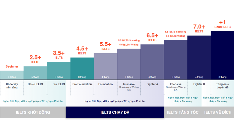 Lộ tr&igrave;nh đ&agrave;o tạo IELTS to&agrave;n diện - kh&oacute;a IELTS Master
