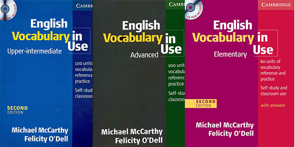 english vocabulary in use