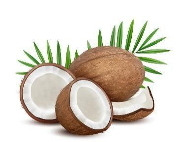 ielts reading topic Plants 2