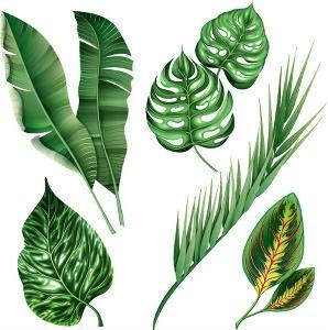 ielts reading topic Plants 4