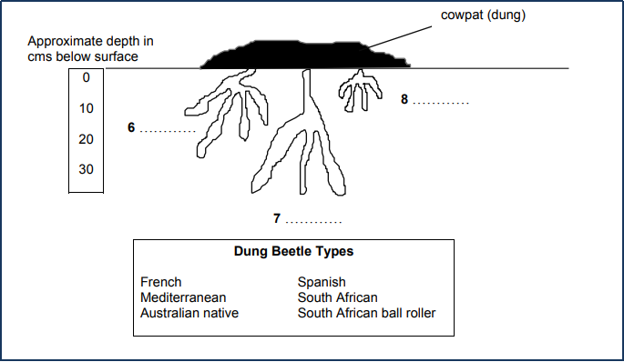 ảnh diagrams reading