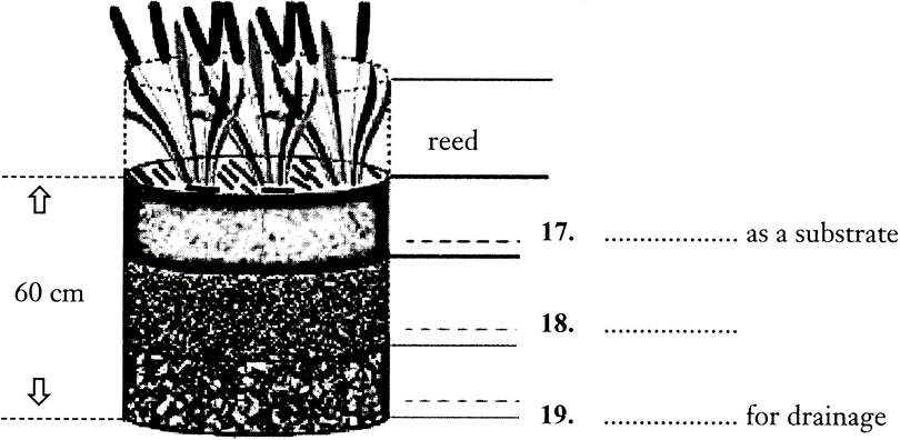 ảnh diagrams
