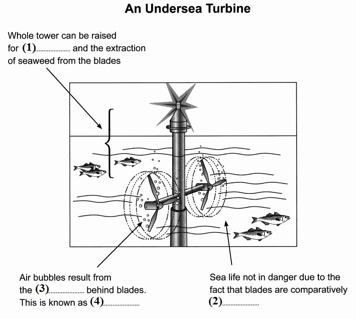 IELTS Reading Labbelling a diagram