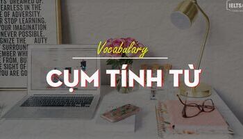 unit-10-adj-noun-combination-cum-tinh-tu-3513