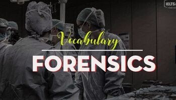 tu-vung-tieng-anh-ve-phap-y-ielts-vocabulary-in-forensics-1612