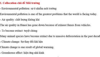 tong-hop-cac-collocation-thong-dung-theo-chu-de-1968