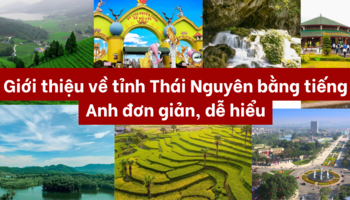 gioi-thieu-tinh-thai-nguyen-bang-tieng-anh-don-gian-de-hieu-1459