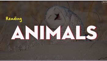 ielts-reading-topic-animals-1859