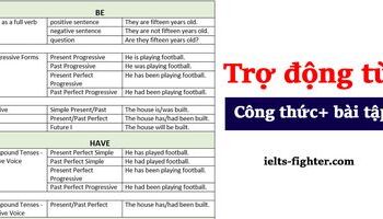 tro-dong-tu-auxiliary-verbs-va-bai-tap-co-dap-an-chi-tiet-2457