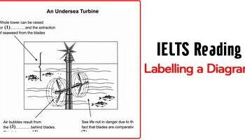ielts-reading-chien-luoc-lam-bai-labelling-a-diagram-2365