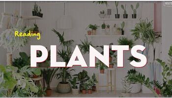ielts-reading-topic-plants-1851