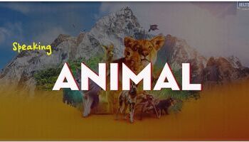 ielts-speaking-sample-answer-topic-animal-2426