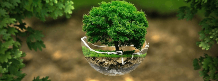 Từ vựng IELTS Writing Task 2 Luyện viết IELTS Writing Task 2 chủ đề môi trường